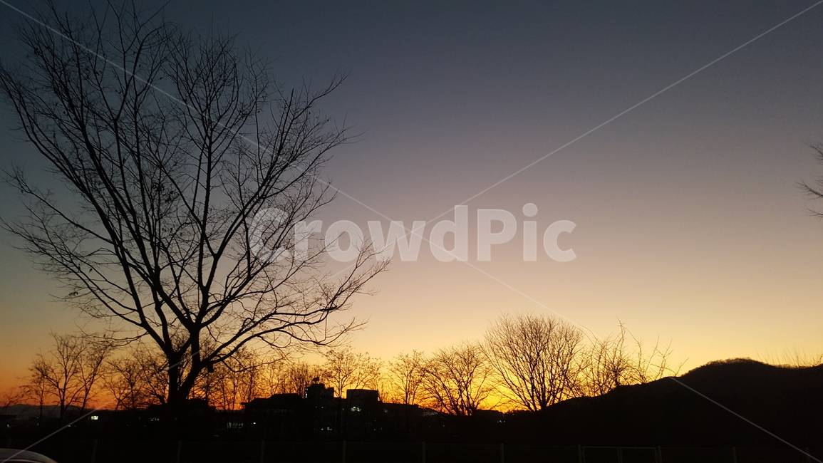 겨울,노을,일몰,석양,sunset,magichour,winter,개와늑대의시간,실루엣,자연,풍경,nature,landscape,실루엣,그림자,silhouette,shadow,outdoors,옥외,red sky,붉은 하늘,sky,하늘,dusk,황혼,dawn,새벽