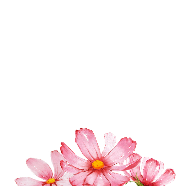 꽃,일러스트,이벤트,백그라운드,세일,할인,초대장,카드,표지,편집,편집디자인,브로슈어,브로셔,비주얼,vip,럭셔리,고급,프리미엄,결혼,웨딩카드,웨딩,마음,일러스트레이션,그리기,곱다,수채화,봄,가을,디자인,자연,축하,아트,책,코스모스,잎사귀,잎,풍성하다,분홍,핑크,잎파리,배경,꽃,flower,그래픽,일러스트레이션,graphic,illustration