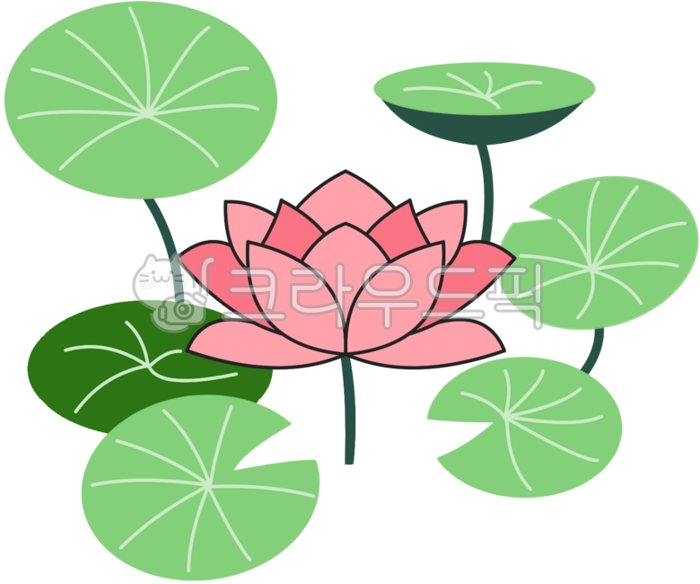 연꽃,연잎,부처님오신날,수련,연꽃연잎