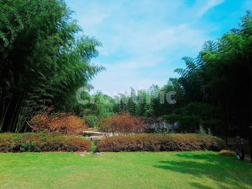 grass,plant,식물,잔디,풀,풀밭,나무,하늘,자연,풍경