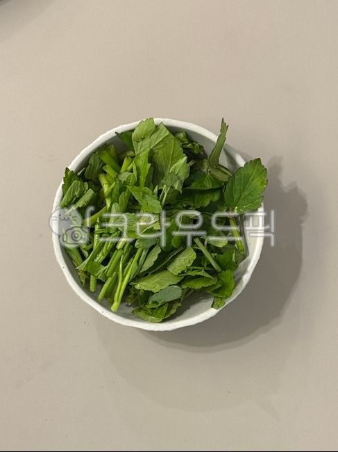 고수,향채,향신료,향신채소,허브,식재료,고수잎,하얀그릇,도자기,식자재,식재료손질,쌀국수,동남아음식,태국음식,베트남음식,향긋한,사이드메뉴,쌀국수고수,샐러드,음식준비,고수프렙,신선한허브,채소