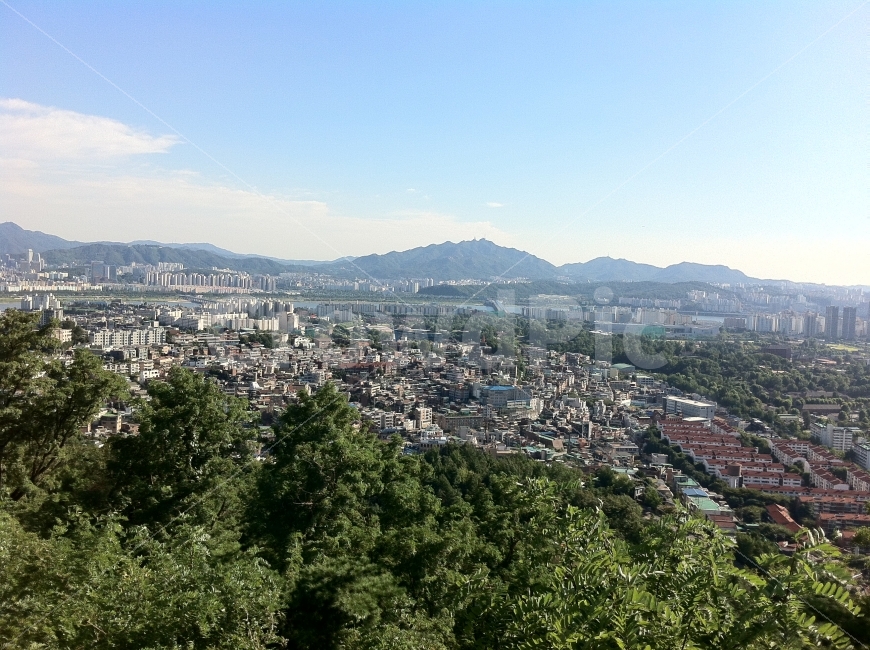 부동산,건축물,서울전경,서울,건물,주택,건물전경,도시,풍경,city,landscape,경치,nature,자연,outdoors,옥외,scenery