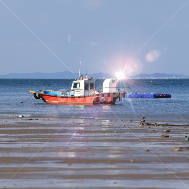 왜목마을,바다,반짝임,배,어업,갯벌,산업,industry,industrial,어업,fishery,fishing industry