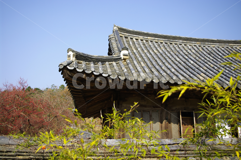 지붕,기와지붕,전통,나무,담,한국전통,한국문화,korean traditional,korean culture,건축물,건물외관,exterior,building,structure,architecture,construction