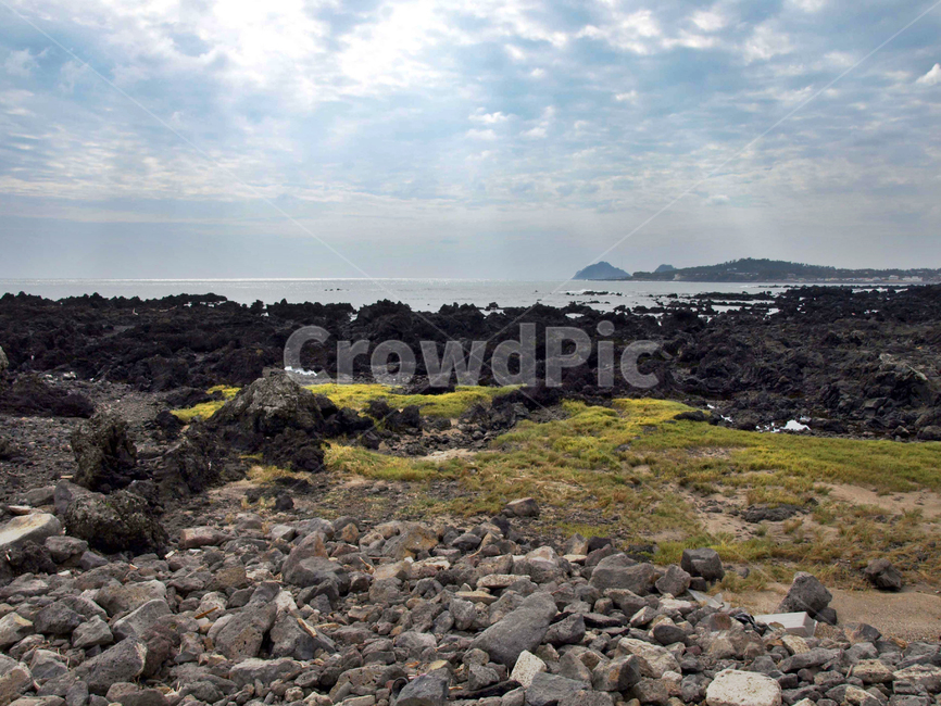 올레5코스,올레길,제주,서귀포시,초목,자연,풍경,nature,landscape,한국자연풍경,한국자연경관,korea nature landscape,제주도,jeju,jeju island,rubble,파편,ground,바닥