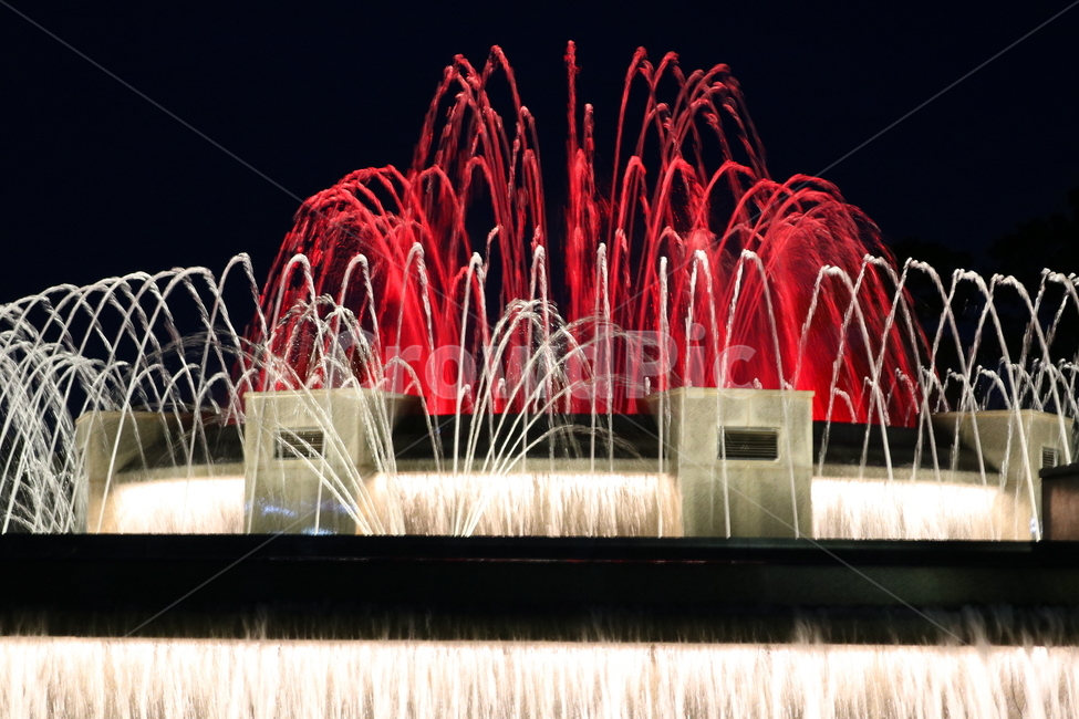 분수대,분수,물,야경,밤,풍경,빛,야경,밤,풍경,nightscape,night,landscape,water,fountain