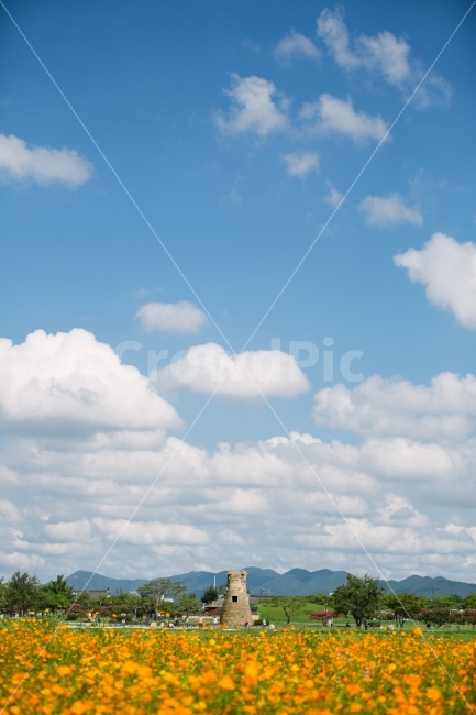 경주,구름,하늘,꽃,식물,감성,자연,풍경,nature,landscape,랜드마크,landmark,tourist attraction,한국전통,한국문화,korean traditional,korean culture,weather,날씨,outdoors,옥외,cloud,cumulus,적운,sky