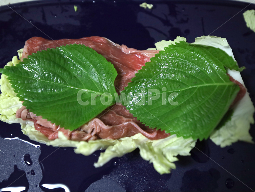 야채,채소,요리재료,식물,plant,싱싱한,깻잎,배추,소고기,밀푀유나베,leaf,잎,재료