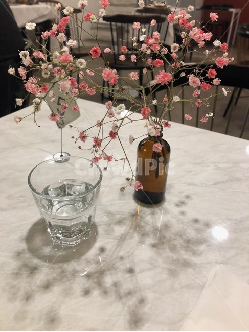 식물,조화,물,장식물,꽃,꽃,flower