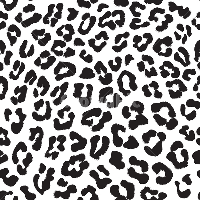 레오파드,leopard,animalprint,패턴,seamless,pattern,표범,표범무늬,동물무늬,blackandwhite,검은색,그래픽,일러스트레이션,graphic,illustration,텍스처,질감,패턴,texture,pattern