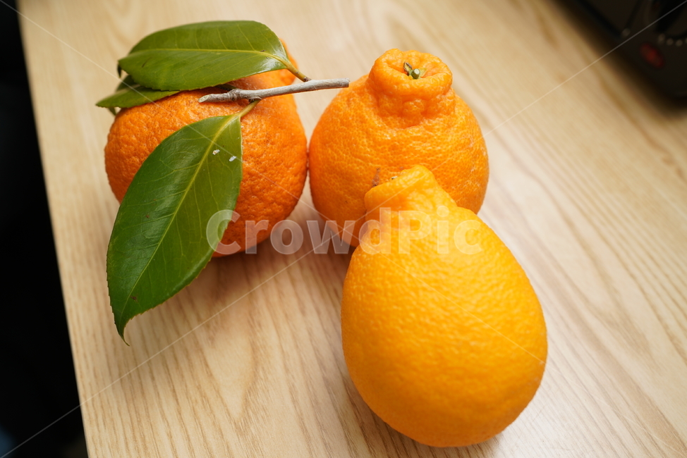 과일,한라봉,fruit,주황색,후식,컬러,orange,음식,food,감귤류과일,식물,음식,식재료,요리,food,cook,meal,dishes,food reserves,과일,열매,fruit