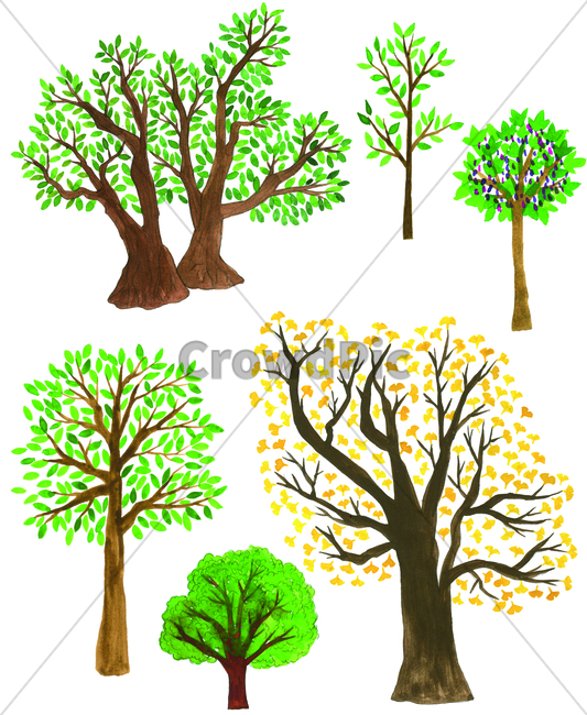 weed,손그림,handdrawing,watercolor,은행나무,ginkgo,maidenhairtree,tree,나무,plant,식물,treetrunk,나무줄기