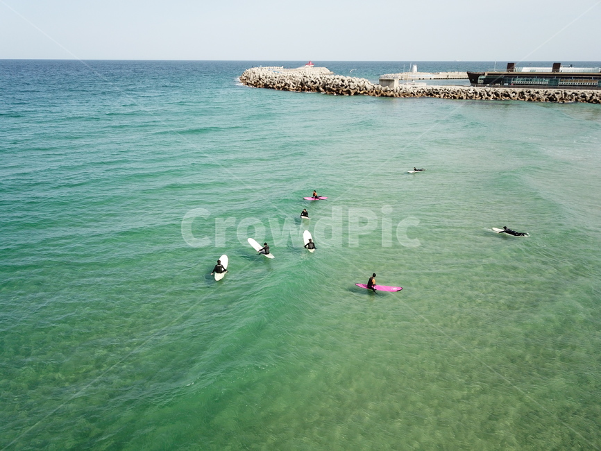 동해,바다,해변,서핑,서퍼,여름,계절,summer,season,스포츠,레저,운동,sports,leisure,exercise,animal,동물,bird,새,boat,보트,transportation,교통,vehicle,차량,rowboat,노 젓는 배