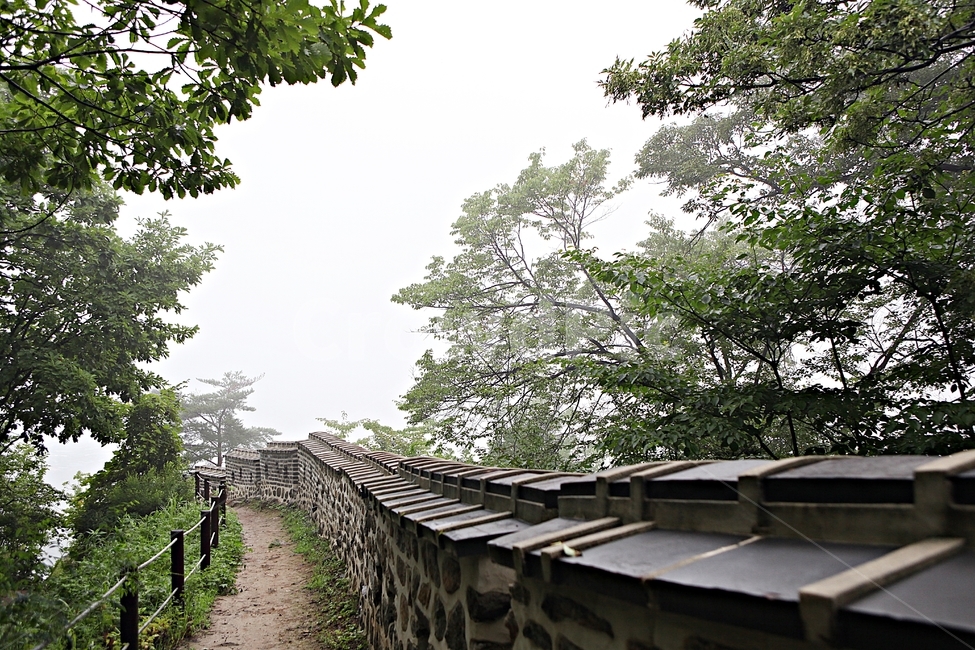 남한산성,성,성곽,길,둘레길,숲,숲길,벽,안개,돌담,담,여름,풍경