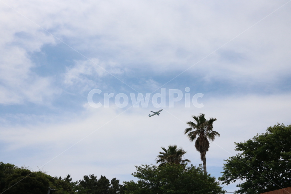 airplane,비행기,airport,공항,jeju
