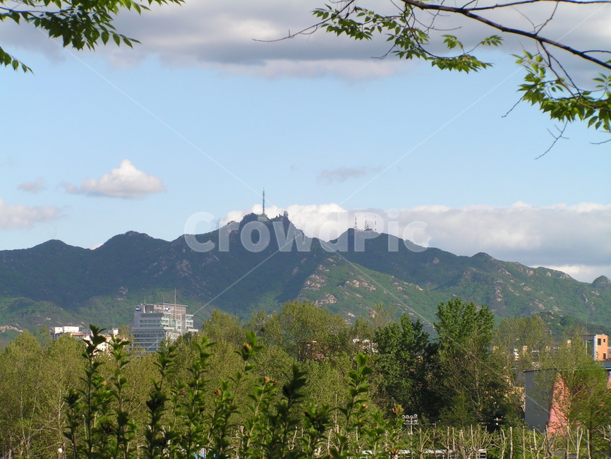 풍경,산,나무,능선,구름,자연,풍경,nature,landscape,plant,식물,tree,outdoors,옥외,fir,전나무