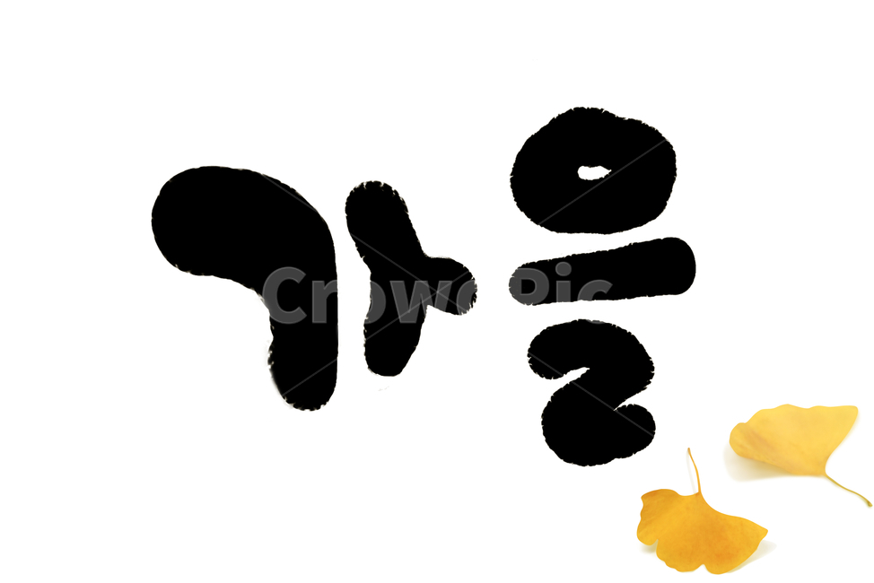 캘리그라피,손글씨,가을,붓글씨,누끼,낙엽,편집이미지,캘리그라피,손글씨,calligraphy