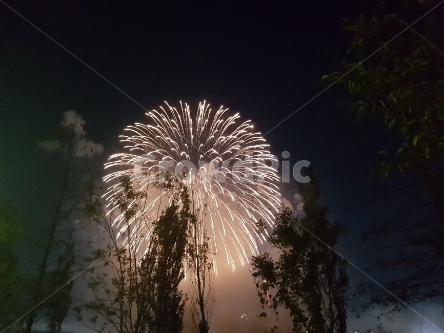 폭죽,한강폭죽,불꽃축제,동그란불꽃,폭죽놀이,한강,야경,밤,풍경,nightscape,night,landscape,축제,행사,festival,carnival,event,nature,자연,outdoors,옥외