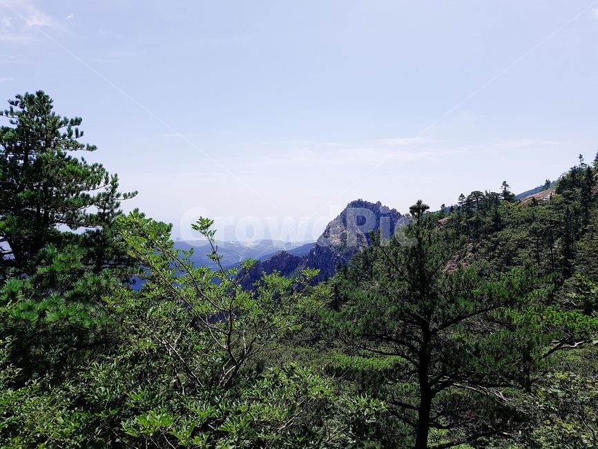 산,하늘,자연,나무,경치,자연,풍경,nature,landscape,plant,식물,tree,fir,전나무,outdoors,옥외