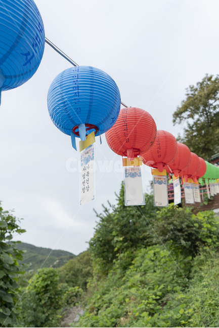 절,부처님오신날,사찰,등,연등,석가탄신일,산,보문사,사업번창,가족건강,소원,종교,신앙,religion,belief,faith,축제,행사,festival,carnival,event