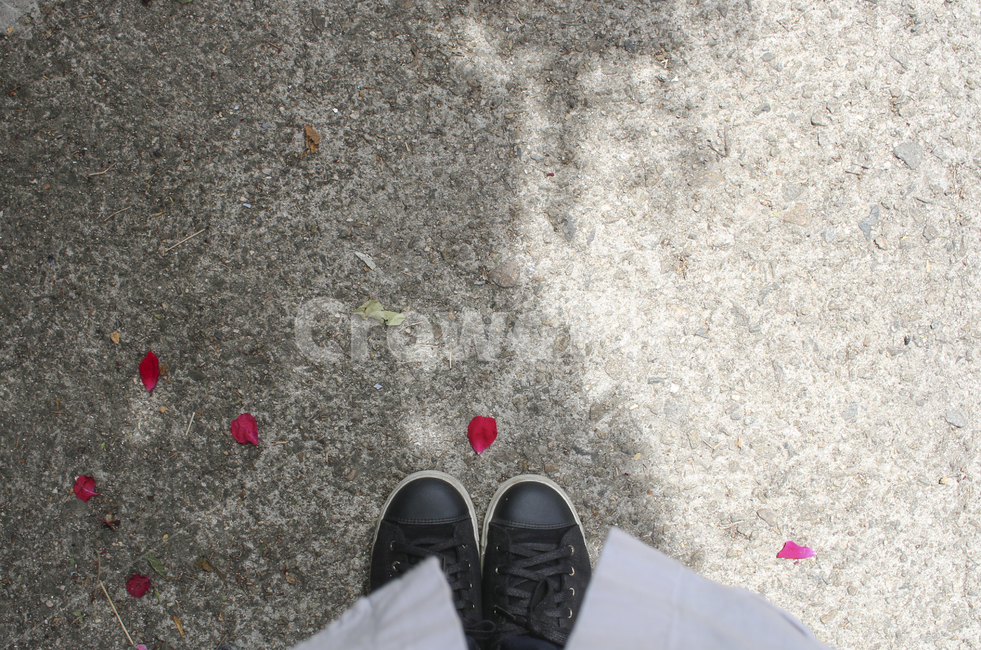 발,신발,꽃잎,petal,사람,person,people,foot,shoes
