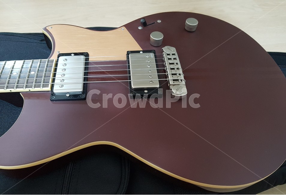 악기,기타,guitar,electricguitar,일렉기타,악기,음향기기,musical instrument,musical equipment