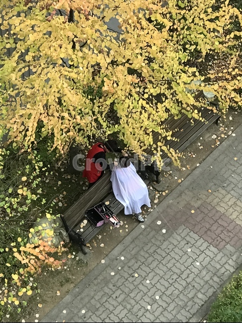 컷,인물,이발,단풍,헤어컷,헤어