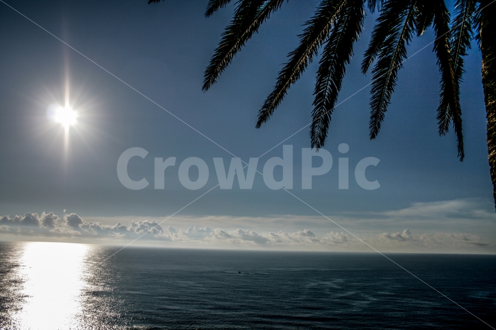 일본,미야자키,바다,자연,태양,풍경,자연,풍경,nature,landscape,light,빛,flare,플레어,outdoors,옥외