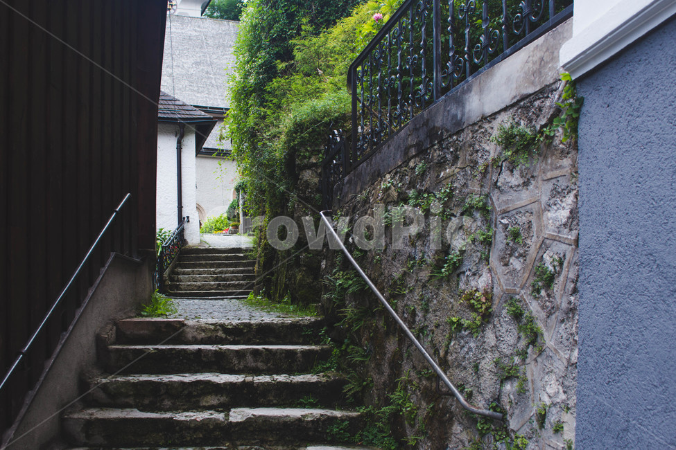 길,road,골목길,계단,풍경,landscape,일상,골목길,alley,outdoors,옥외,staircase,garden,정원