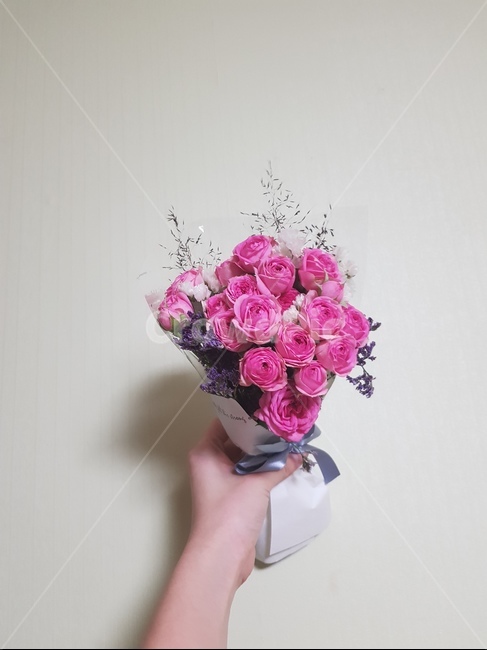 꽃,꽃다발,선물,손,장미,분홍꽃