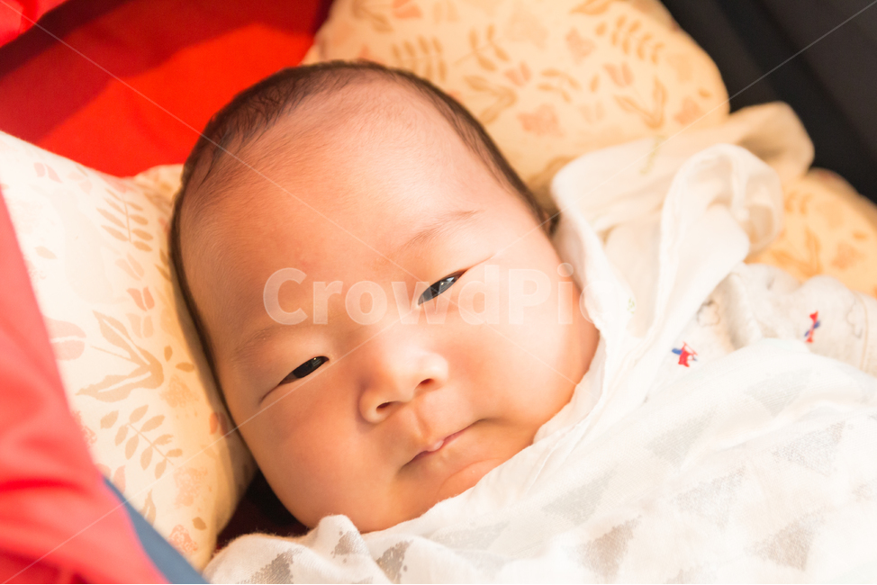 아기,애기,얼굴,표정,귀여운,작은,신생아,가난아기,천사같은,출산,육아,가족,사랑스런,무표정,졸린,입,앙다문,초상,인물,모델,머리,심각한,사람,인물,인간,human,person,얼굴표정,facial expression,face,영유아,아기,애기,아이,infants,baby,감정표현,기분,feeling,emotion