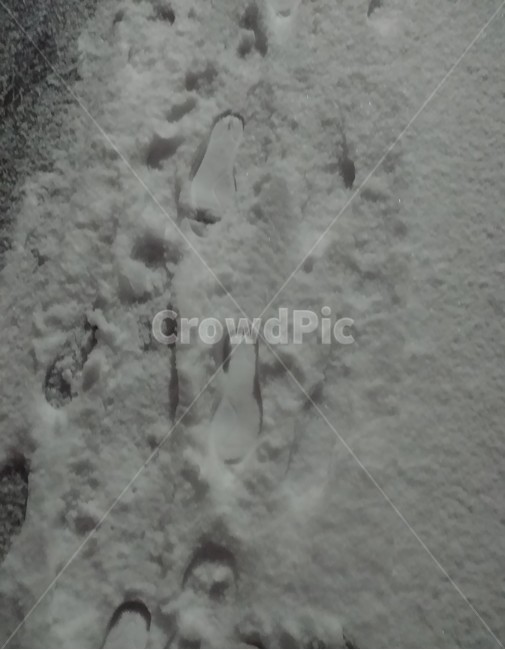 눈,발자국,겨울,눈길,하양,흔적,겨울길,눈발자국,snow,footprint,snowyroad,겨울,계절,winter,season