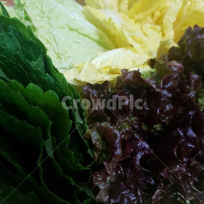 채식,쌈,배추,상추,깻잎,쌈채소,건강식,웰빙,koreanvegetable,koreanveggiewrap,vegetarian