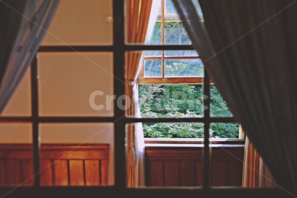 창문,커튼,실내,창밖풍경,프레임,window,curtain,green,aframe,감성,sensible,feeling,인테리어,실내디자인,interior design