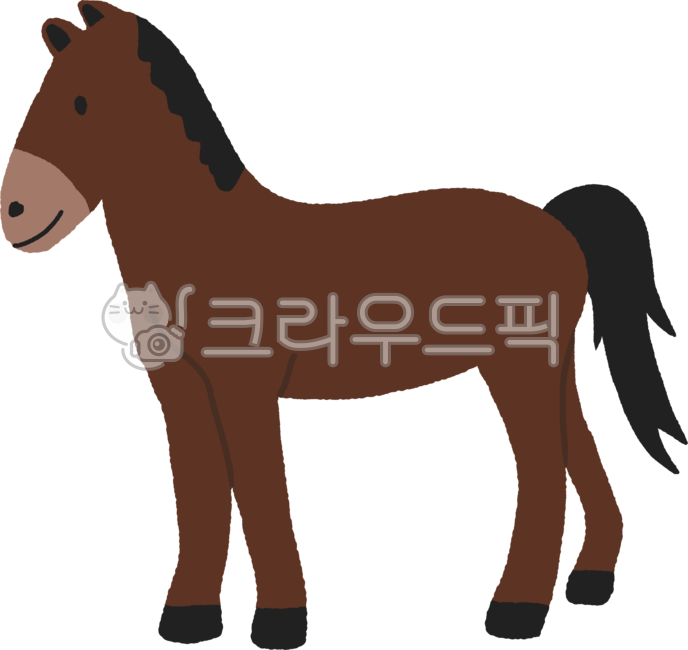 jeju,제주,제주도,제주특별자치도,제주도일러스트,말,제주말,야생마,animal,horse