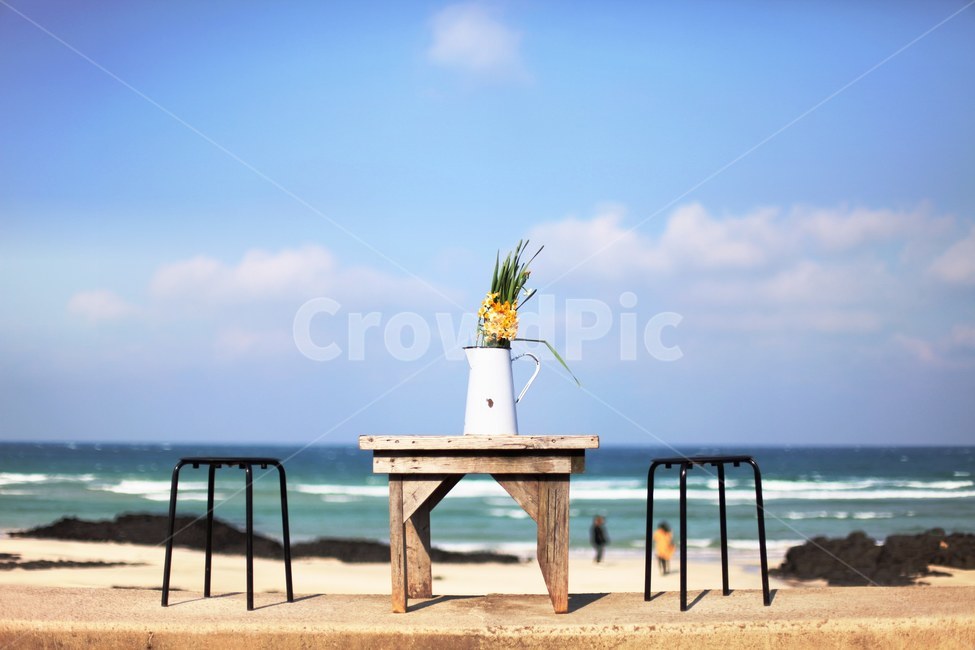 제주도,세화해수욕장,광안대교,동백섬,여행,해변,바다,beach,sea,식물,자연,plants,nature,꽃,flower