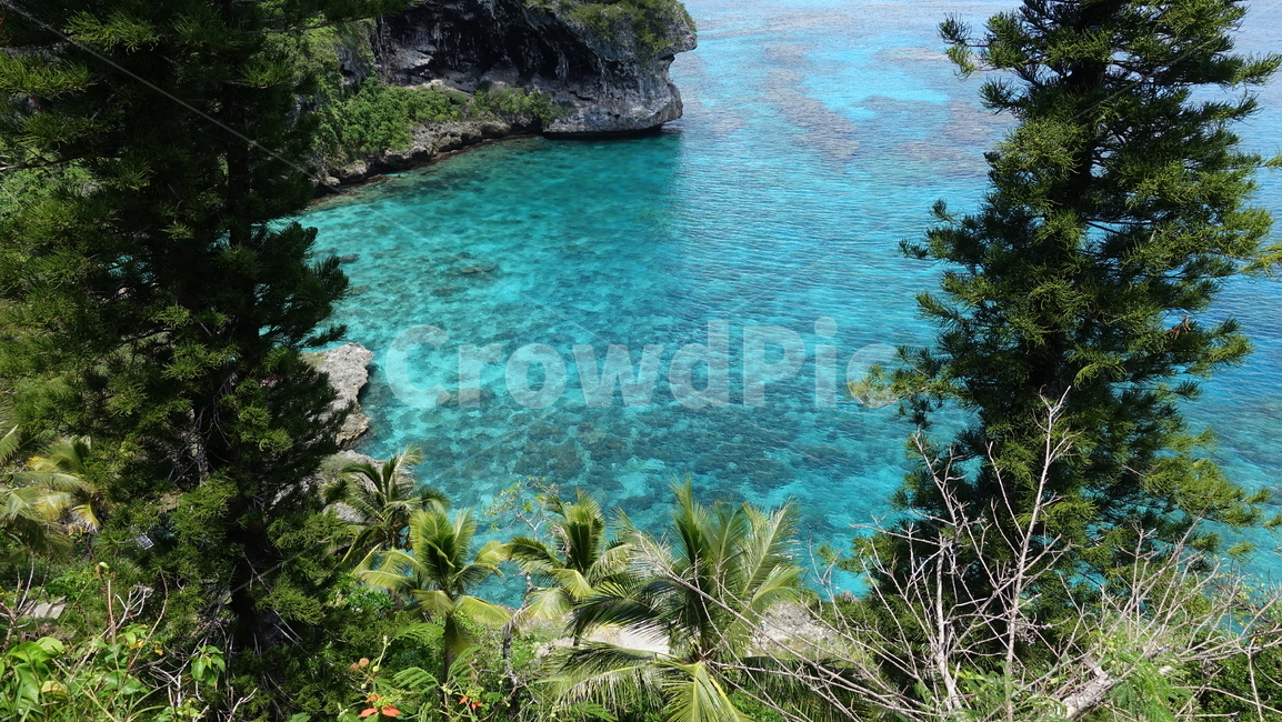 green,초록,nature,plant,식물,자연,나무,blue,에메랄드빛,summer,여름,휴가,vacation,휴양지,태평양,남태평양,리푸,뉴칼레도니아,자연,풍경,nature,landscape