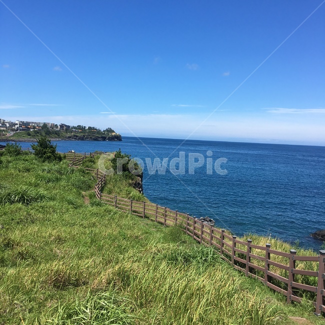 바다,sea,울타리,제주도,산책로,잔디,grass,fence,jejuisland,바람,하늘,sky,여름,summer,자연,nature,풍경,landscape,풀,walk