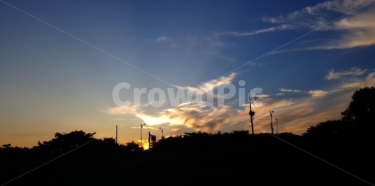 가로등,석양,태양,하늘,가로수,노을,자연,풍경,nature,landscape,outdoors,옥외,sky