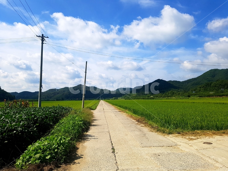 푸른,맑은,하늘,아름다운,도로,road