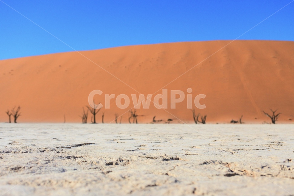 soil,흙,nature,자연,sand,모래,outdoors,옥외,oversea,땅,foreign,landscape