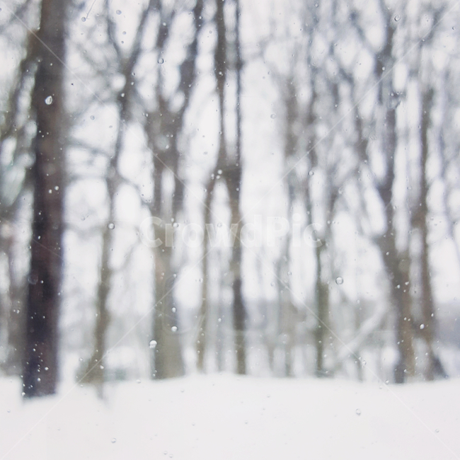 눈,나무,물방울,감성,일본,흰색,자작나무,물,차가운,겨울,winter,sonw,japan,tree,창문,글귀배경,겨울,계절,winter,season,자연,풍경,nature,landscape,storm,폭풍,blizzard,눈보라,snow,outdoors,옥외