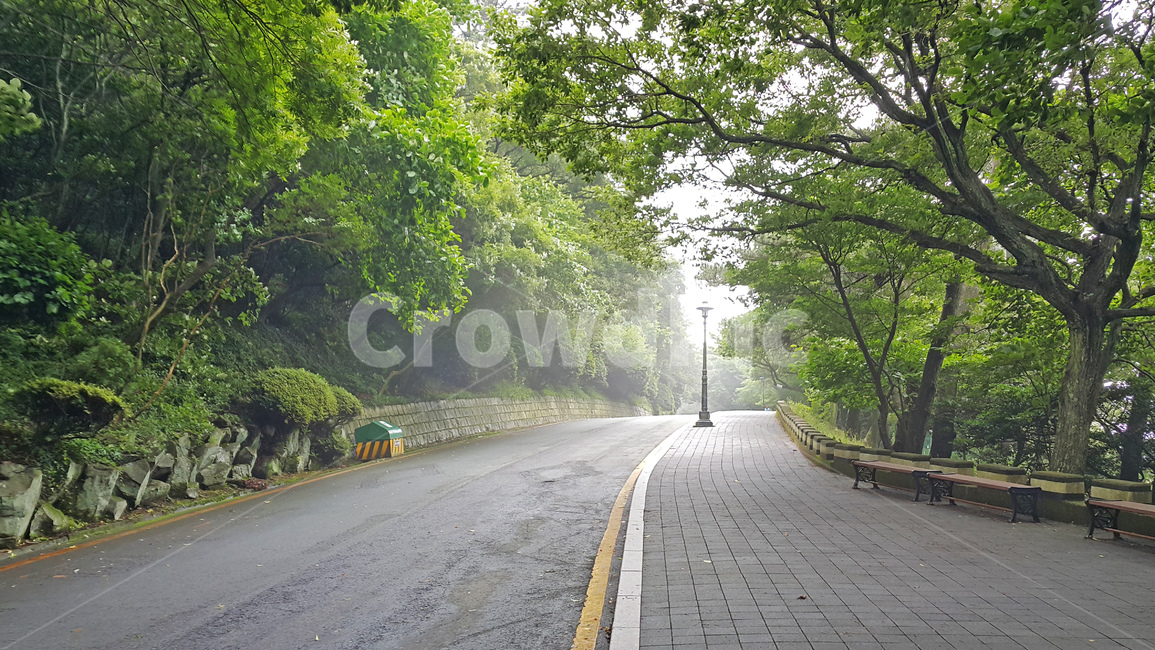 도로,안개,풍경,배경,스산함,자연,풍경,nature,landscape,asphalt,아스팔트,road,path,통로