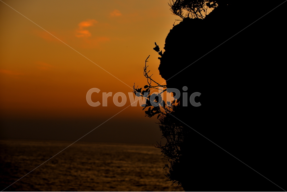 제주도,일몰,붉은노을,식물,nature,빛,light,자연,저녁,붉은하늘,실루엣,서귀포,자연,풍경,nature,landscape