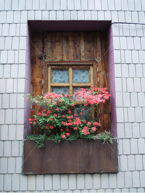 창문,창문인테리어,창문장식,예쁜창문,창문꽃장식,꽃장식,window,windowdeco,windowinterior,windowflowerdeco,homedeco,flowerinterior