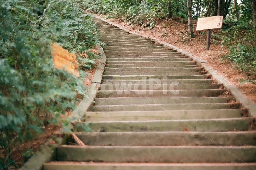 풍경,계단,오르막,산,공원,자연,풍경,nature,landscape,staircase,path,통로