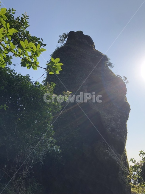 light,빛,sunlight,햇빛,제주도,돌,바위,자연,풍경,nature,landscape