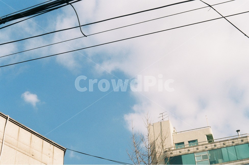 하늘,필름사진,구름,건물,맑은날,푸른하늘,도시,풍경,city,landscape