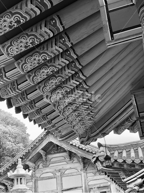 절,기와,기왓집,사찰,흑백,불교,석등,흑백,모노톤,monochrome,black and white