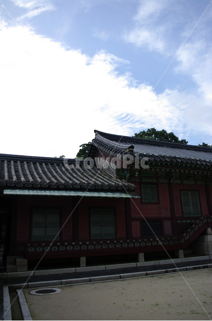 창덕궁,고궁,전각,한옥,전통가옥,기와지붕,건축,traditional,한국전통,한국문화,korean traditional,korean culture,랜드마크,landmark,tourist attraction,한국랜드마크,한국관광지,한국명소,korea landmark,korea tourist attraction,건축물,건물외관,exterior,building,structure,architecture,construction